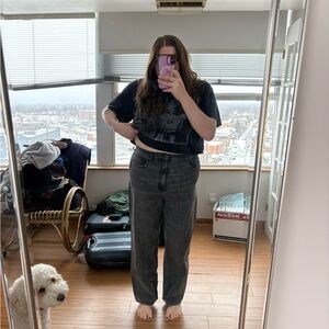 American Eagle Outfitters Gray Denim Jeans